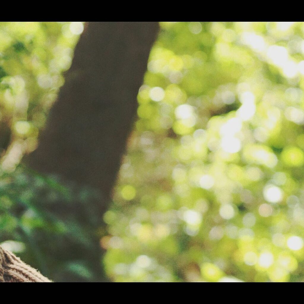 :: EN-roll ::
@ Debut Trailer

#ENHYPEN #EN_behind
#ENroll #SUNGHOON…