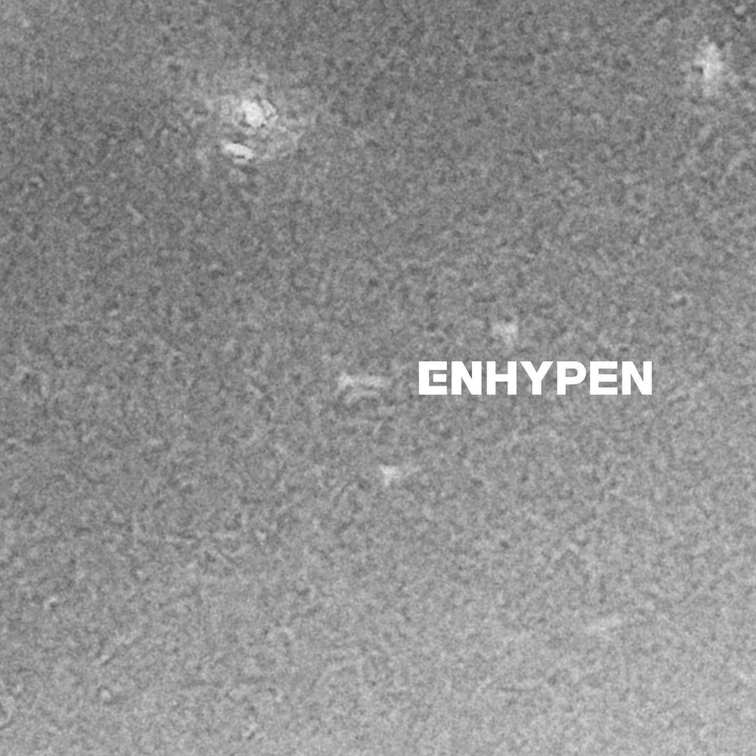 ENHYPEN BACKSTAGE @ DEBUT SHOWCASE_201130  #ENHYPEN #EN_behind…