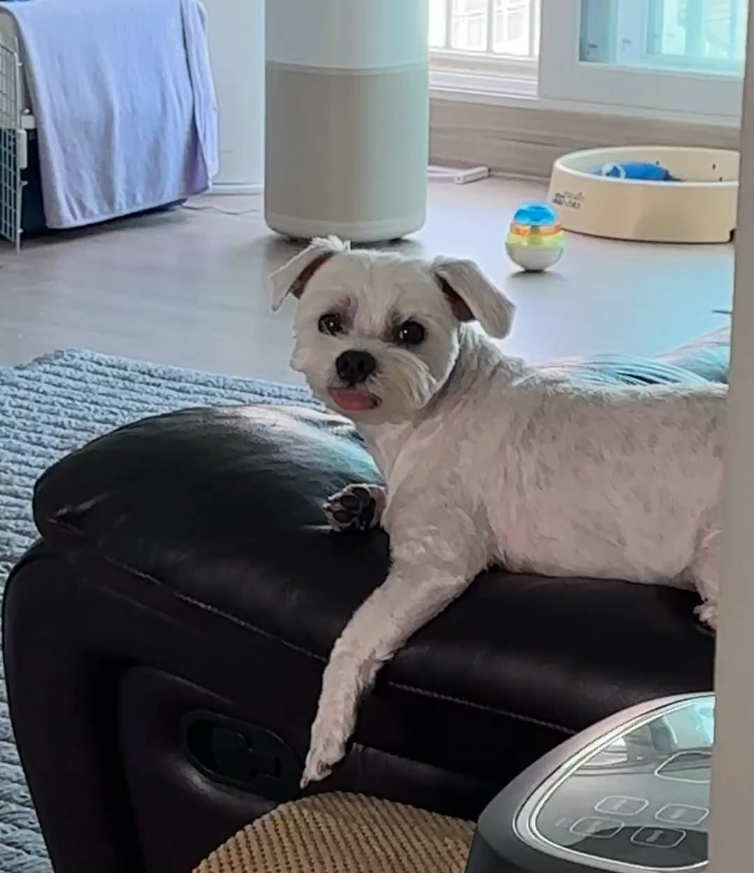 230703 Weverse: Jungwon