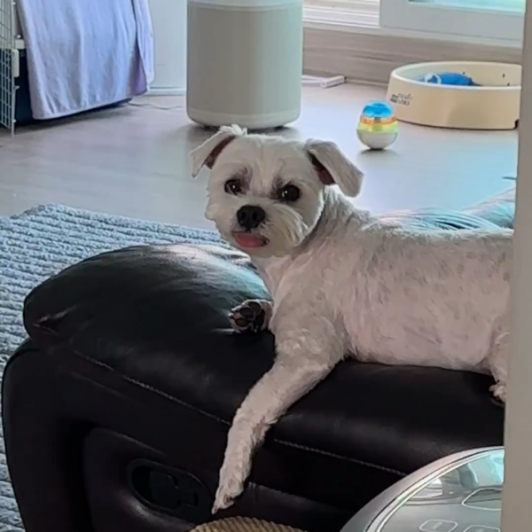 230703 Weverse: Jungwon