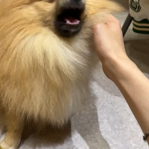 230613 Weverse: Ni-ki