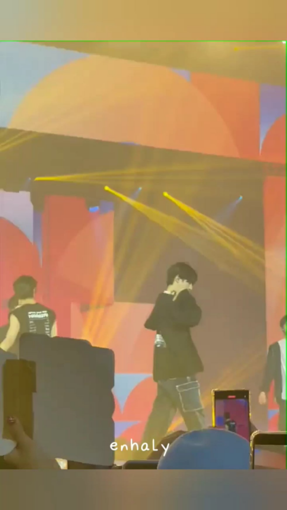 What concert is this from?