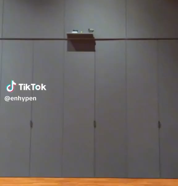 230613 TikTok: Jungwon with LIP J - Sacrifice (Eat Me Up) Dance Challenge