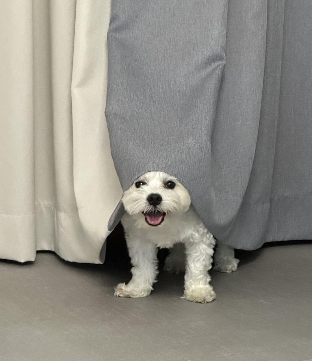 230806 Weverse: Jungwon