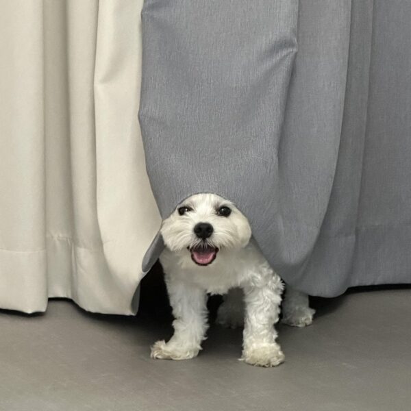 230806 Weverse: Jungwon