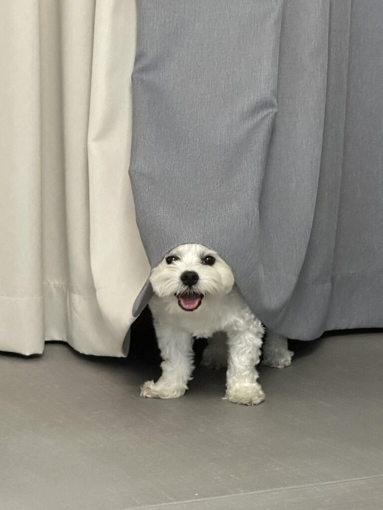 230806 Weverse: Jungwon