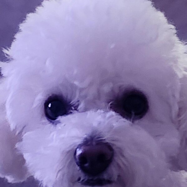 230708 Twitter: Sunghoon