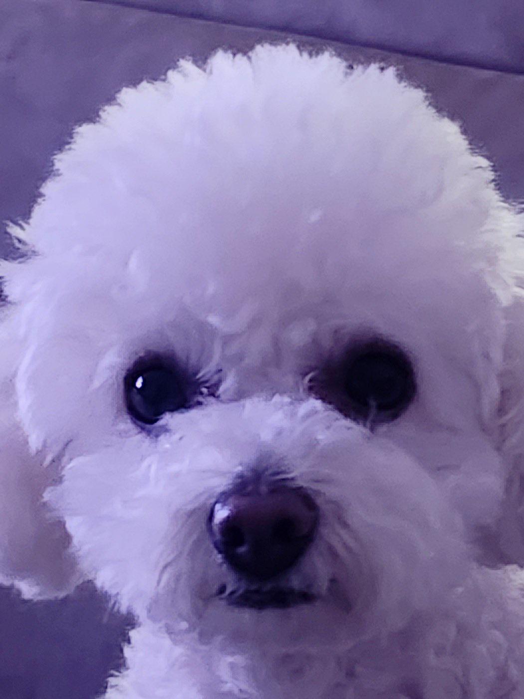 230708 Twitter: Sunghoon