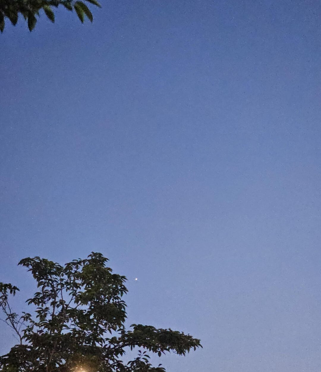 230701 Weverse: Sunoo