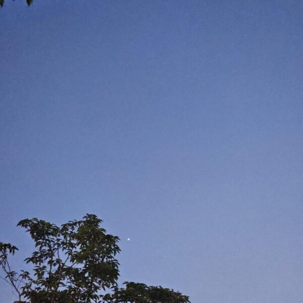 230701 Weverse: Sunoo