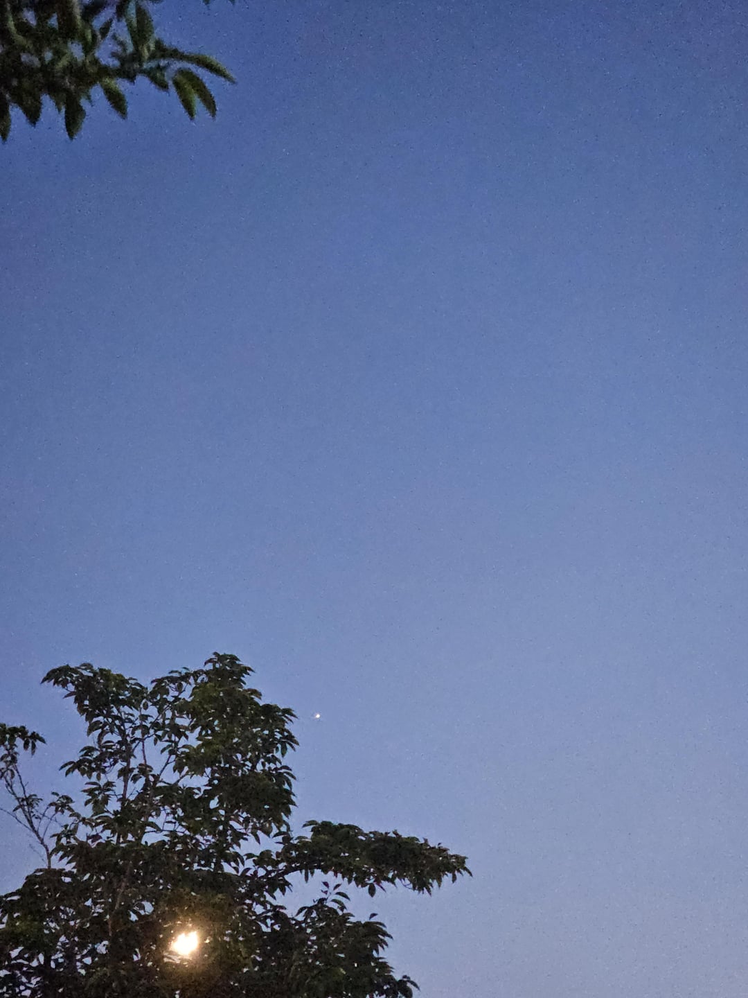 230701 Weverse: Sunoo
