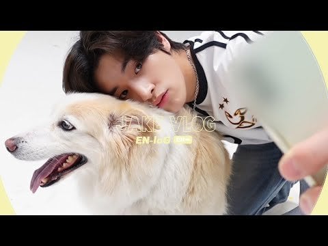 230926 [EN-loG] A Special Day With Layla🥰 Pup Meets Pup💛 HAPPY JAKE loG🦮- ENHYPEN