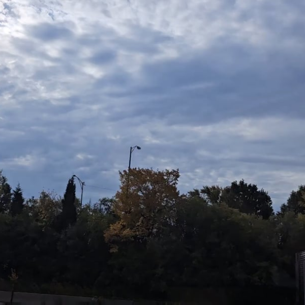 231024 Weverse: Sunghoon