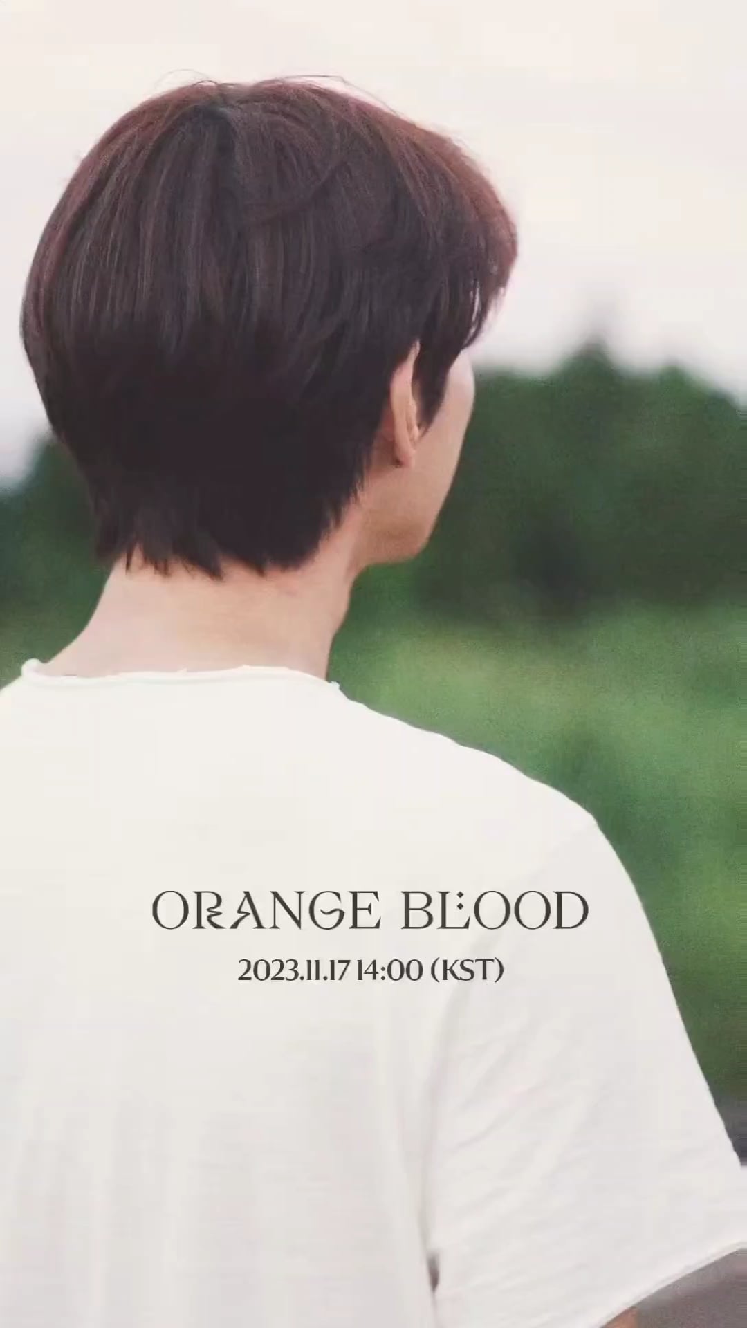 231027 Orange Blood Concept Trailer Visual Film - Individuals (All Members Combined)