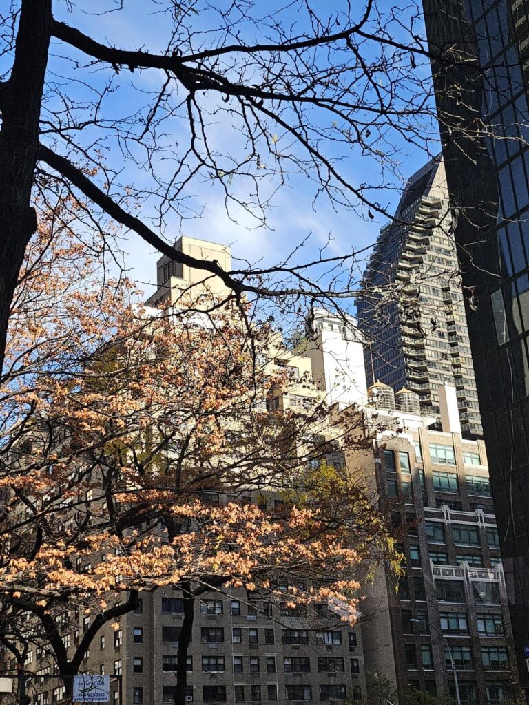231124 Weverse: Sunoo