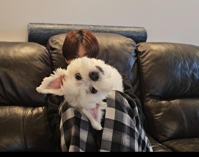231114 Weverse: Jungwon