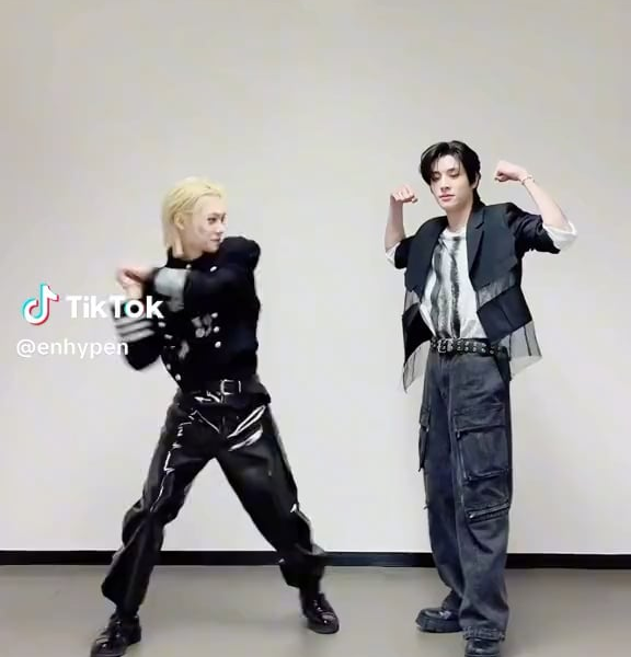 231120 TikTok: Jake & Felix (Stray Kids)