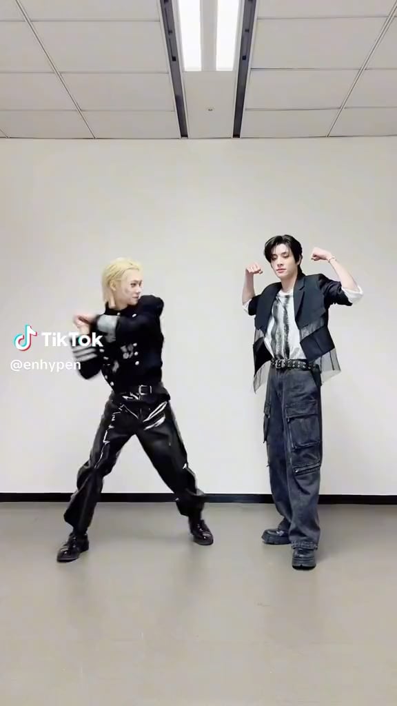 231120 TikTok: Jake & Felix (Stray Kids)