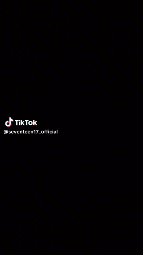 231104 SEVENTEEN Tiktok: Heeseung and Jungwon with SVT's Joshua (God Of Music Dance Challenge)