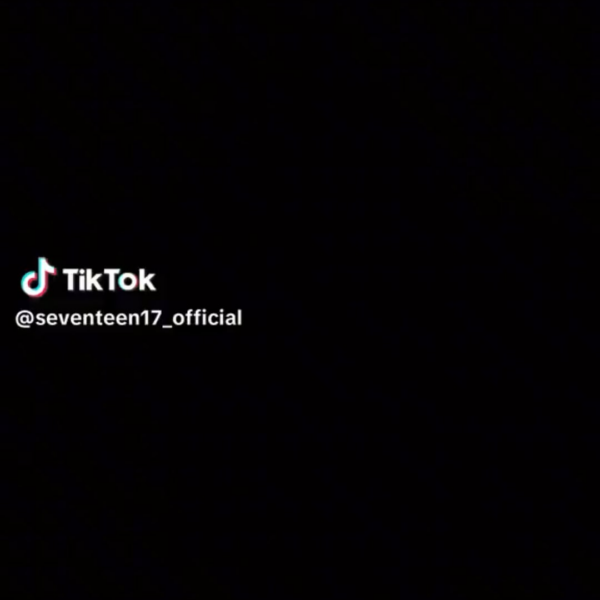 231104 SEVENTEEN Tiktok: Heeseung and Jungwon with SVT's Joshua (God Of Music Dance Challenge)