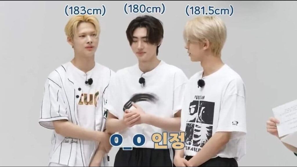 Thoughts on the heights of the other members of Enhypen based on the provided information?'