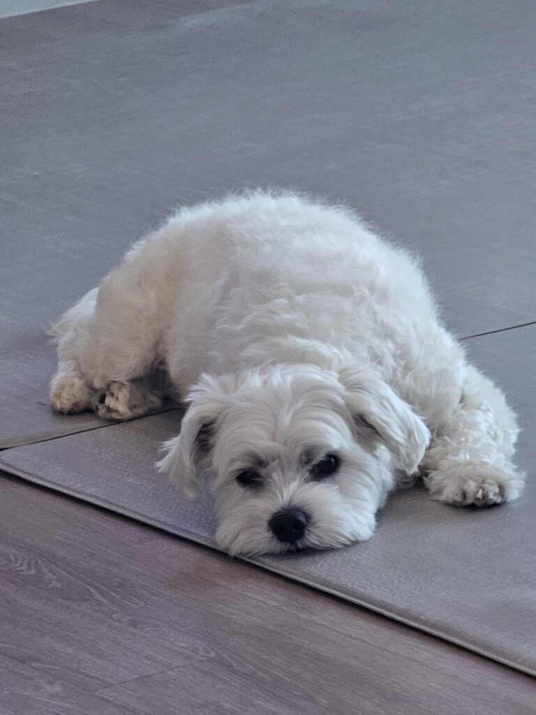 231113 Weverse: Jungwon