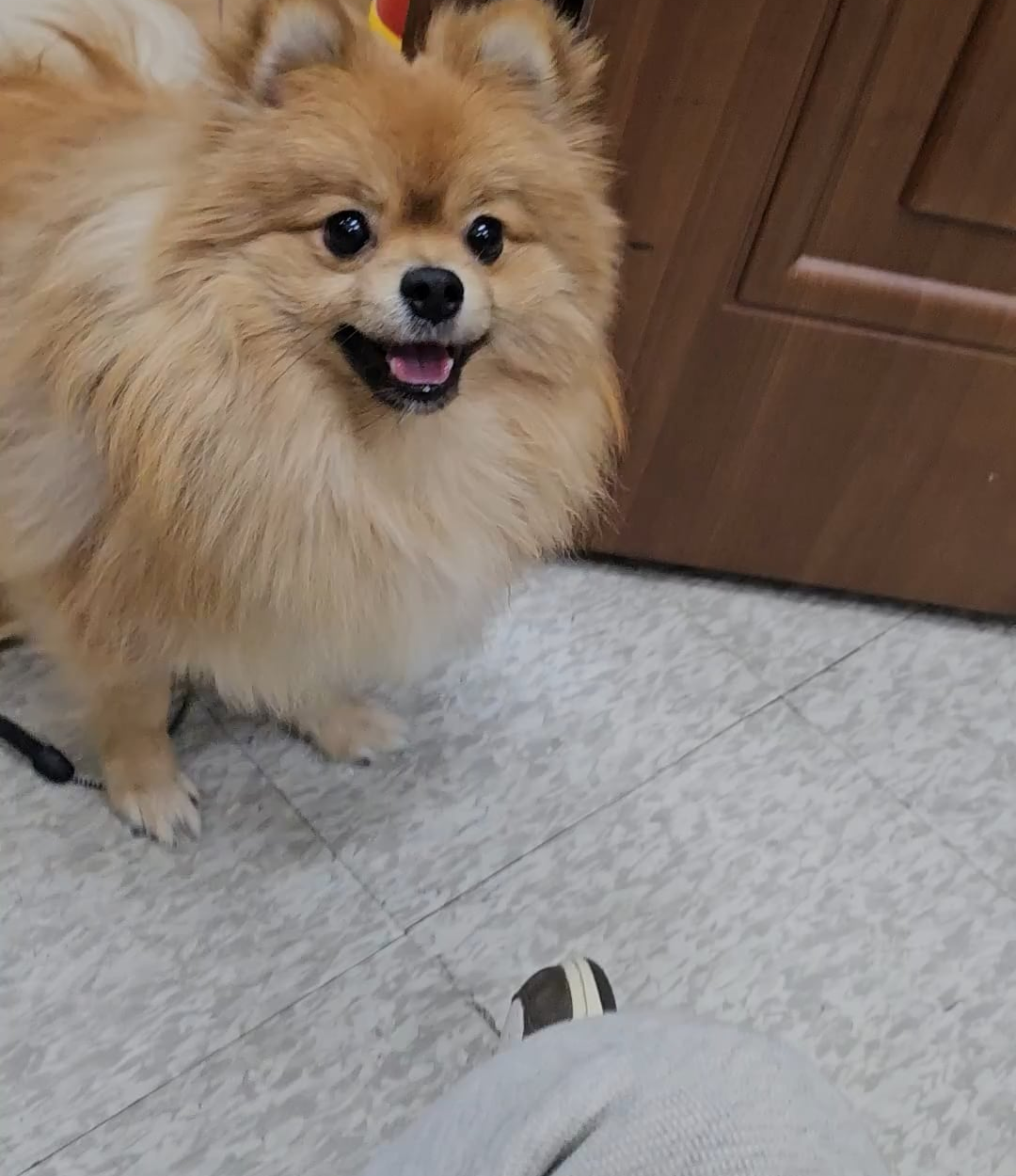 231202 Weverse: Ni-ki