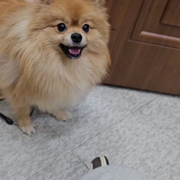 231202 Weverse: Ni-ki