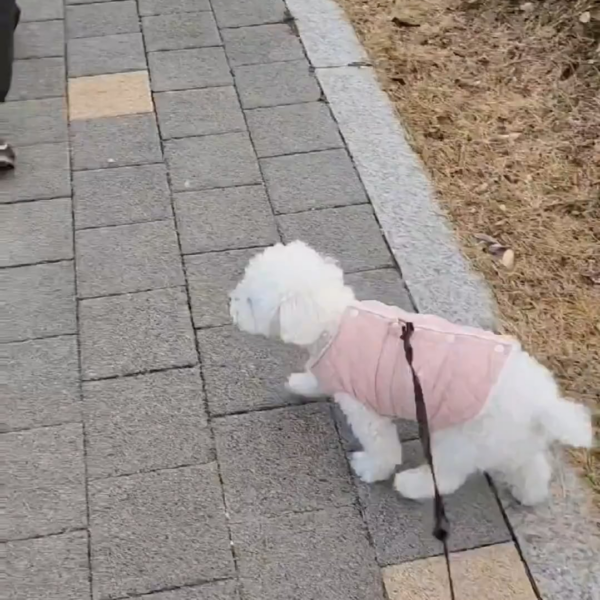 231209 Weverse: Sunghoon