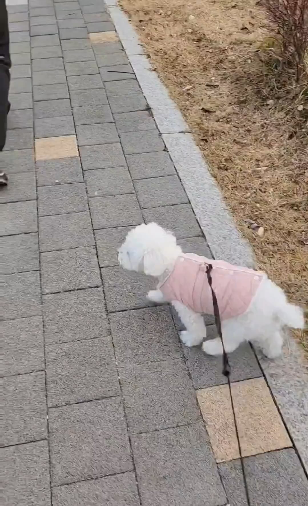 231209 Weverse: Sunghoon