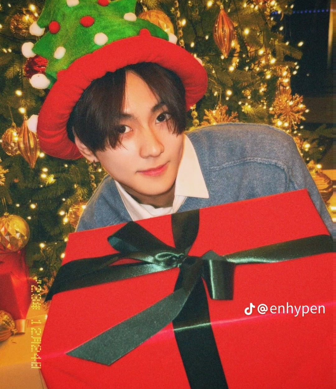 231224 Tiktok: ENHYPEN (slideshow)