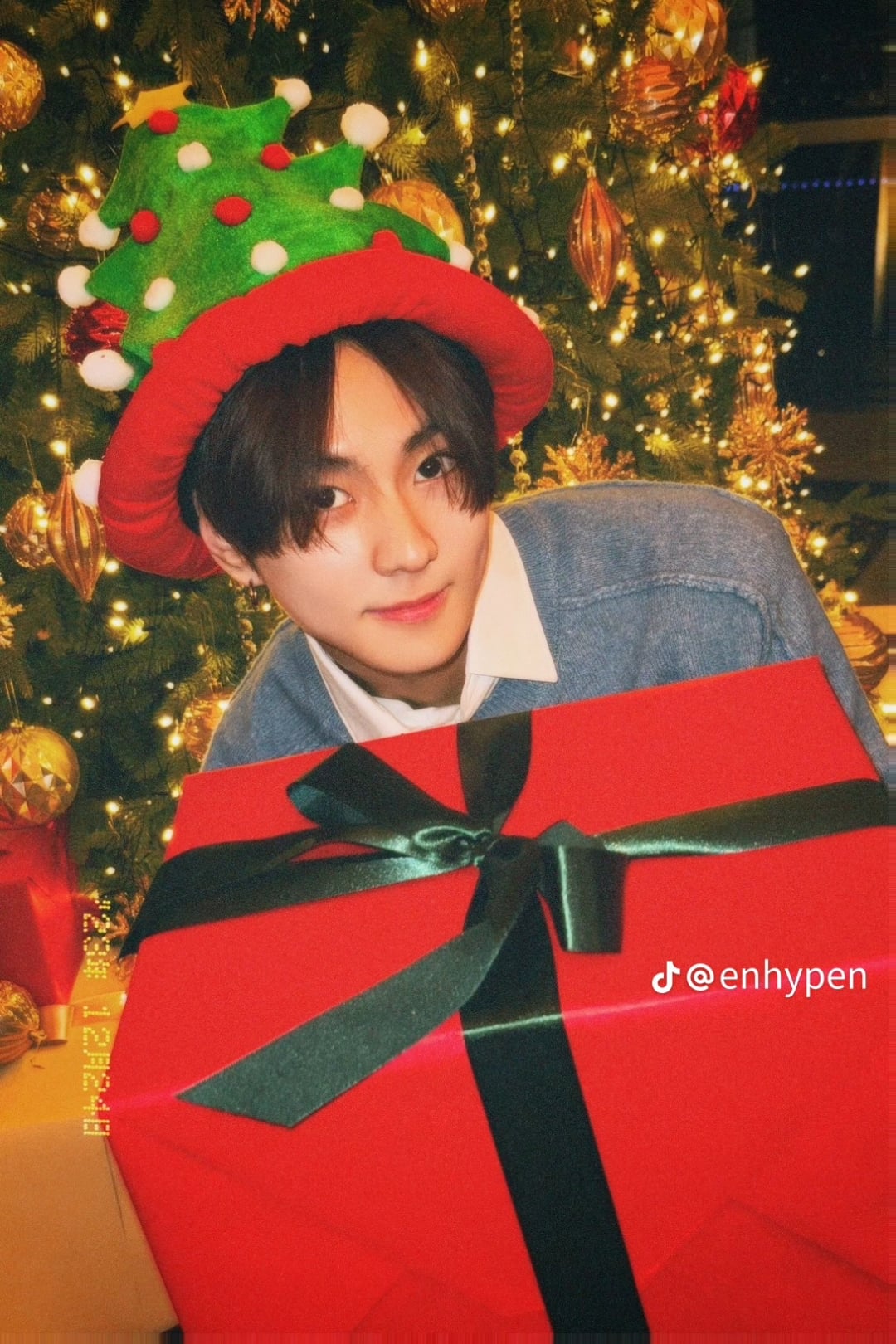 231224 Tiktok: ENHYPEN (slideshow)
