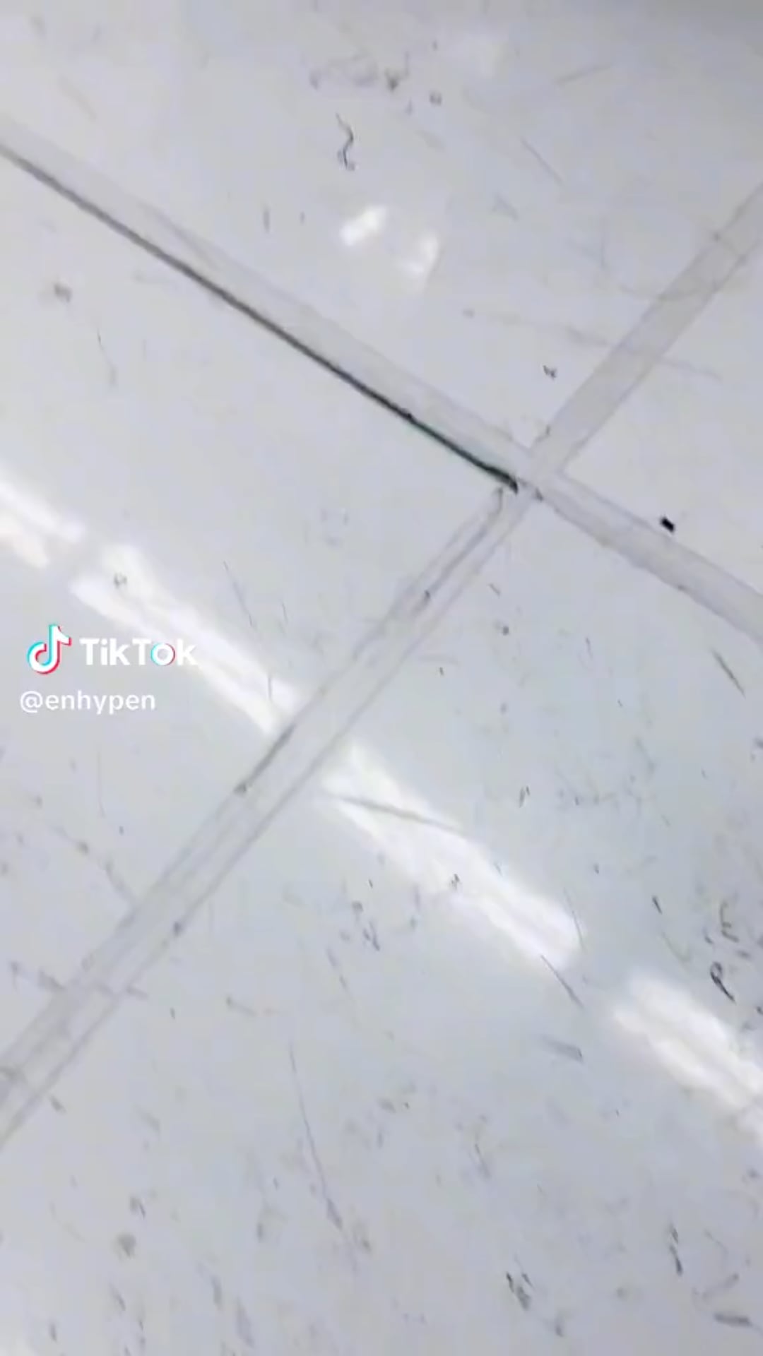231203 Tiktok: ENHYPEN