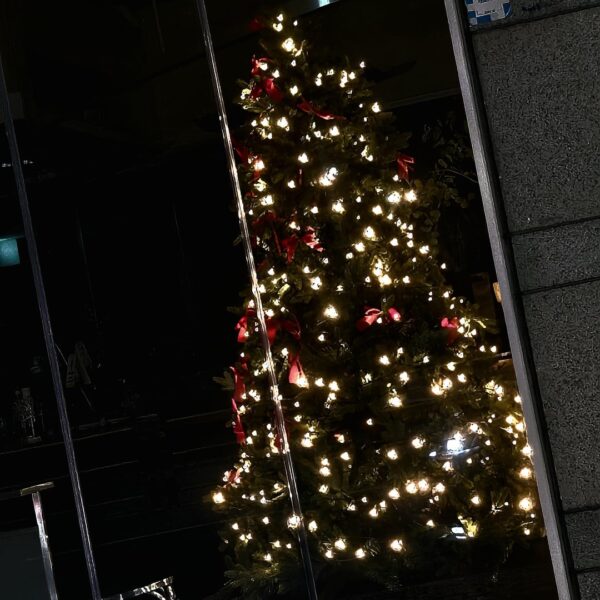 231201 Weverse: Sunoo