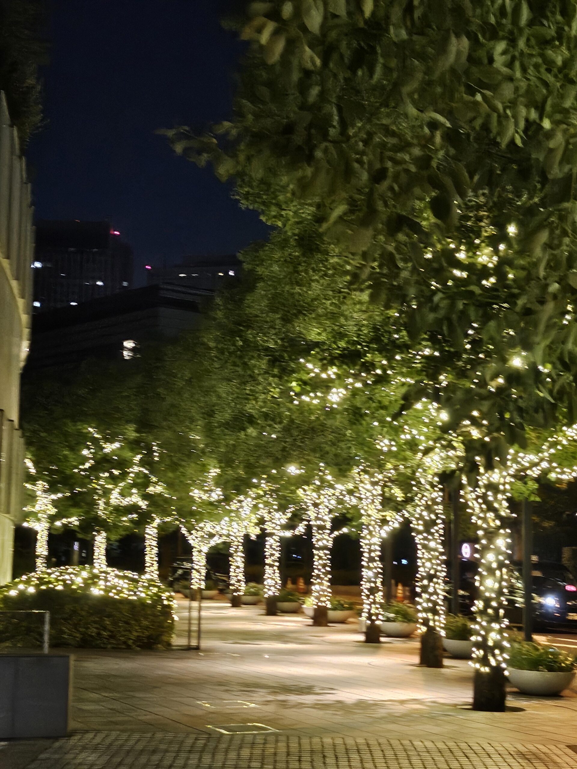 231230 Weverse: Sunoo