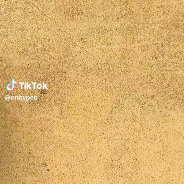 240116 Tiktok: Sunoo