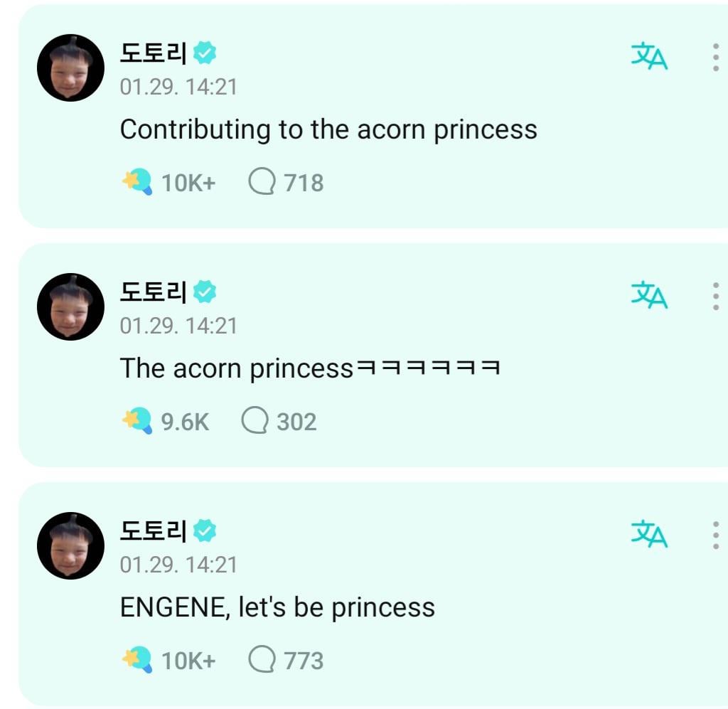 What is the "acorn" reference Sunoo keeps mentioning?