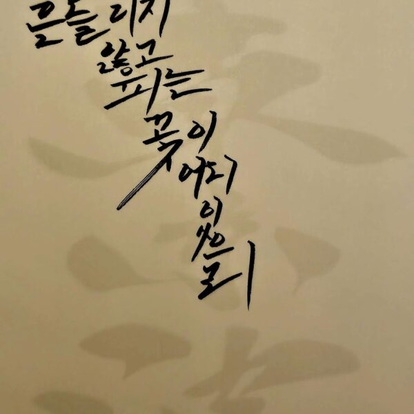 240116 Weverse: Sunghoon