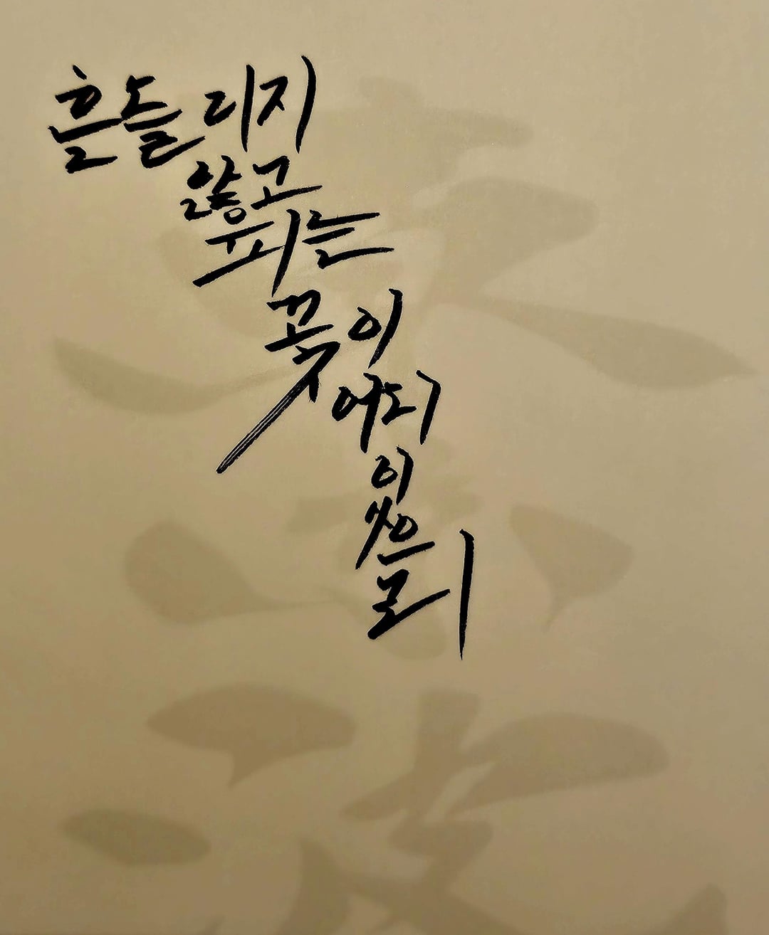 240116 Weverse: Sunghoon