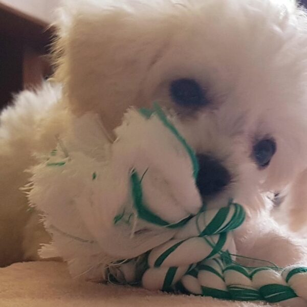 240125 Weverse: Sunghoon