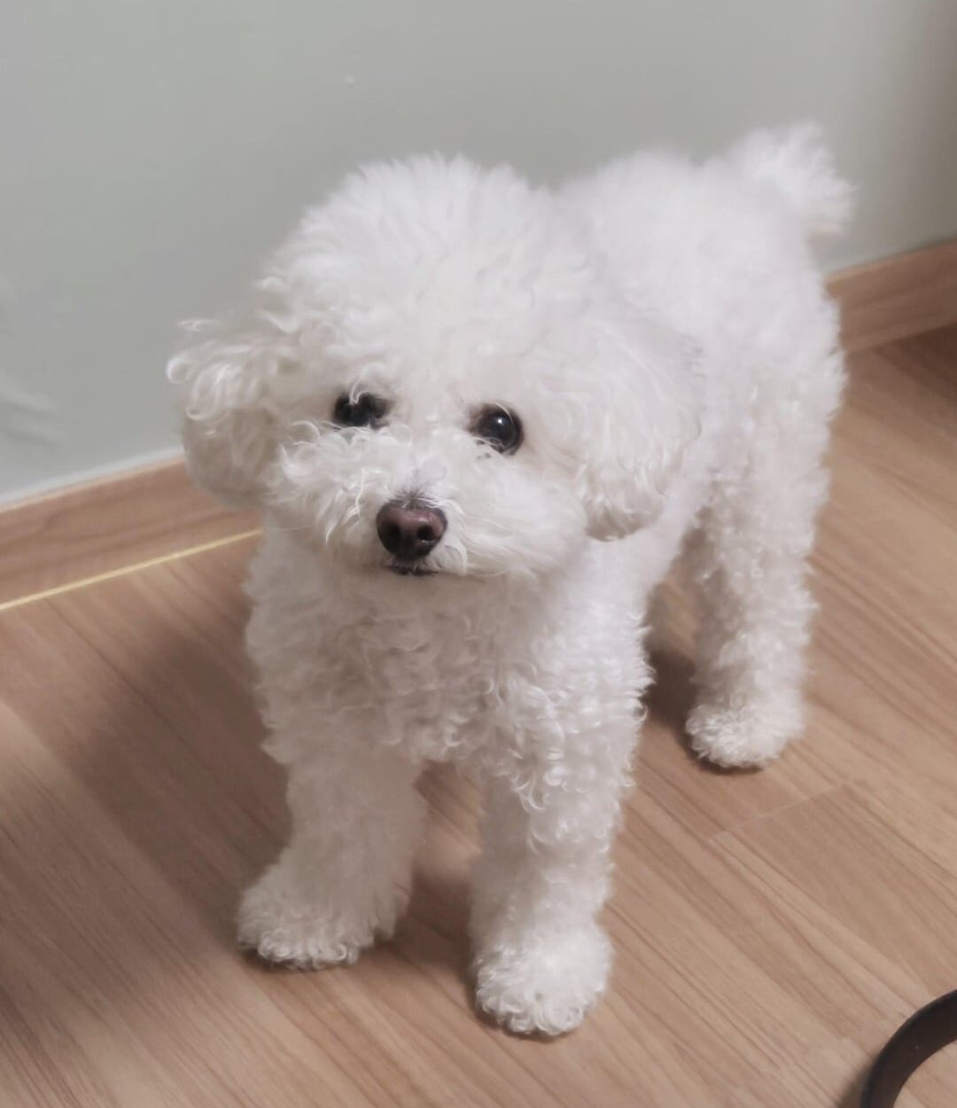 240213 Weverse: Sunghoon 1/2