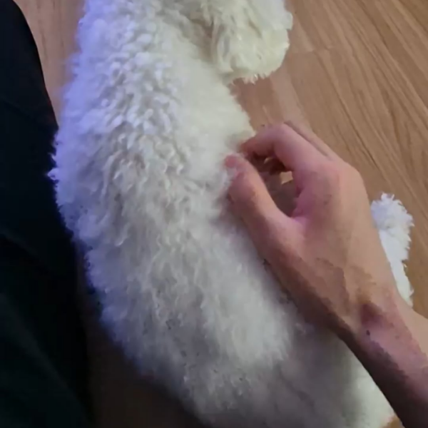 240213 Weverse: Sunghoon 2/2