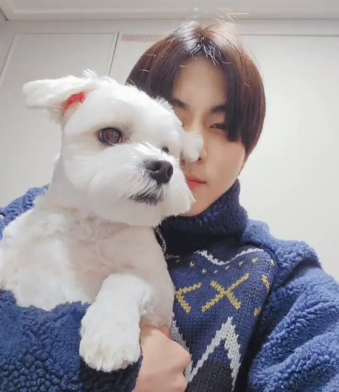 240212 Weverse: Jungwon