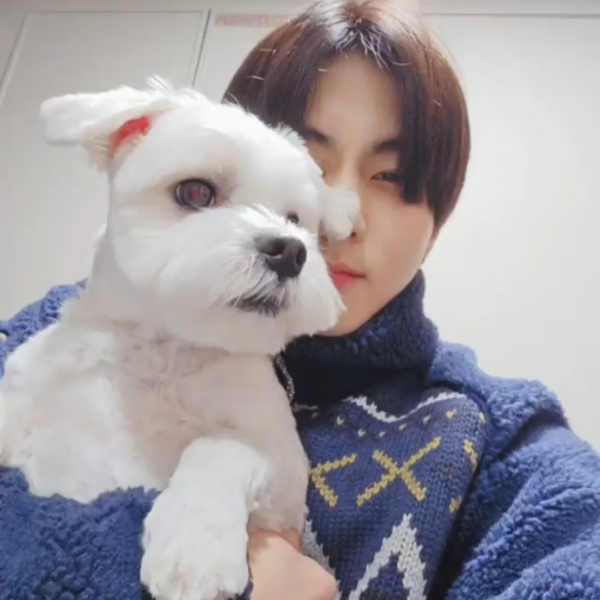 240212 Weverse: Jungwon