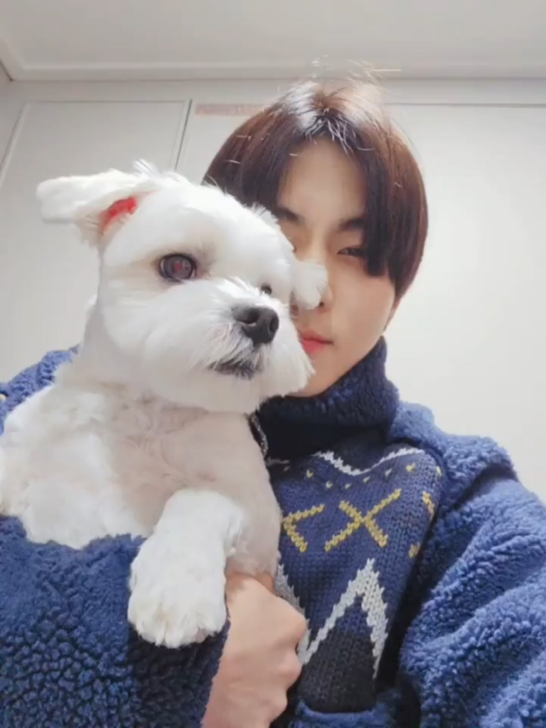 240212 Weverse: Jungwon