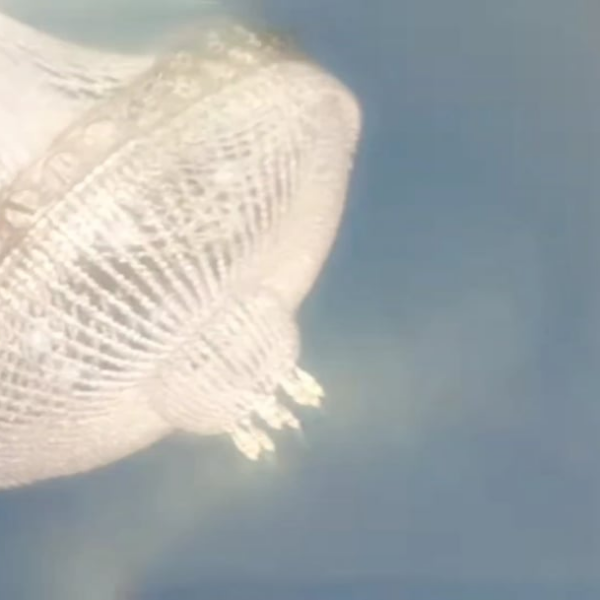 240221 Bite Me Official MV has surpassed 100M views on Youtube! It's the fastest Enhypen MV to reach this mark