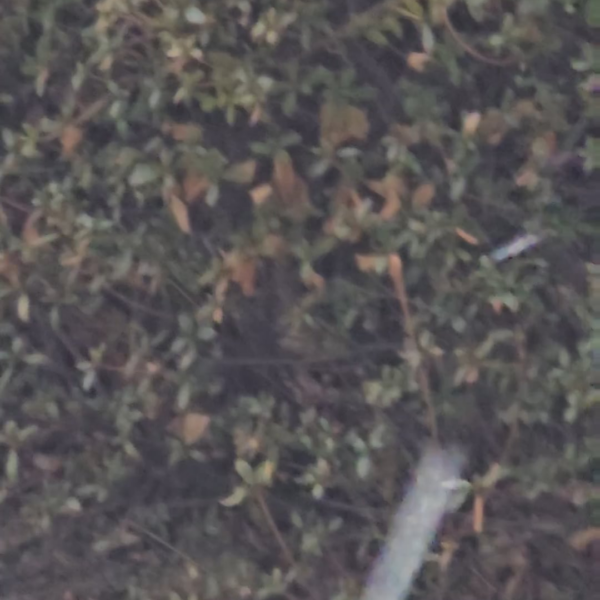 240205 Weverse: Sunoo (2)