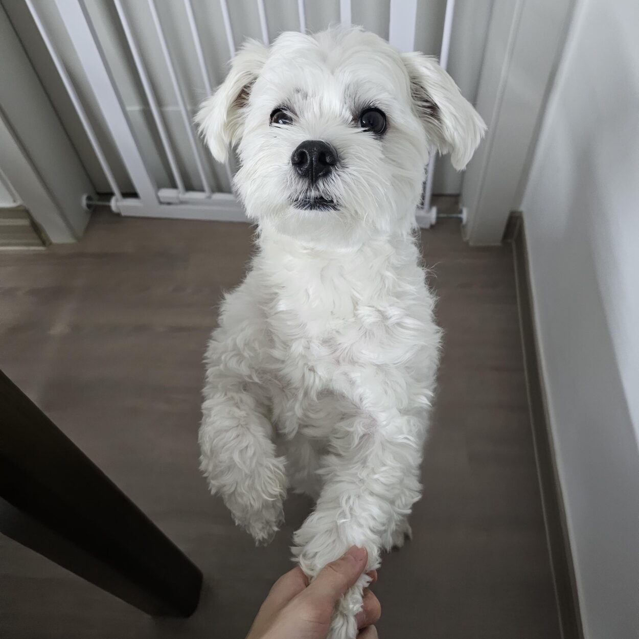 240217 Weverse: Jungwon