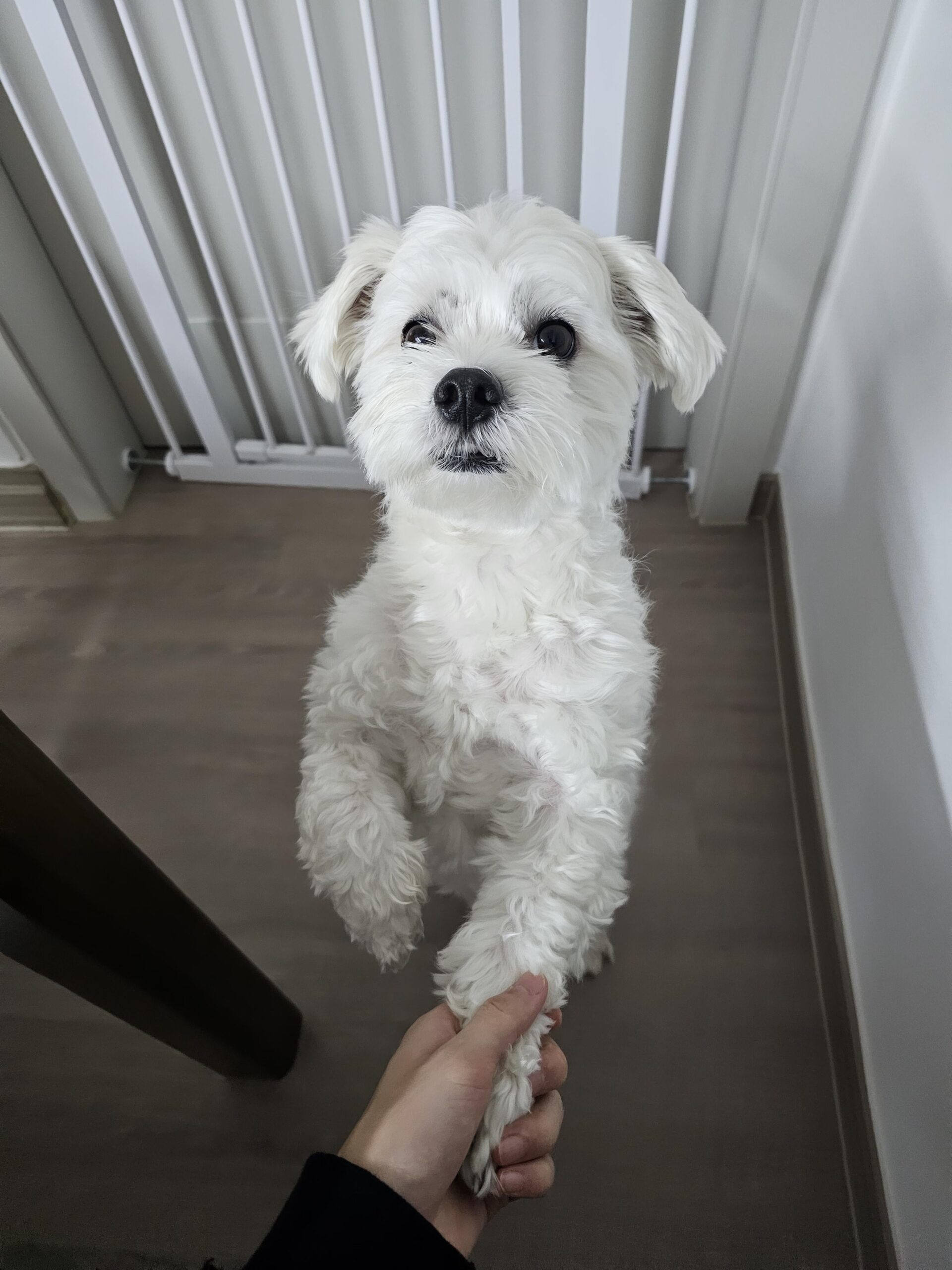 240217 Weverse: Jungwon