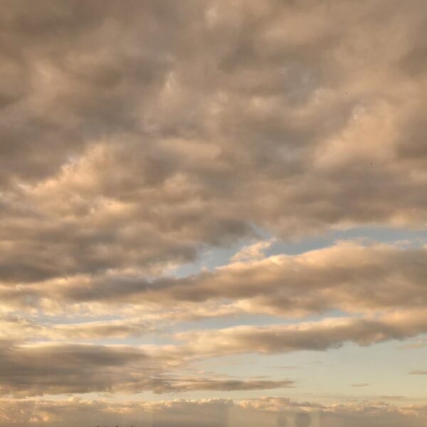 240204 Weverse: Sunoo